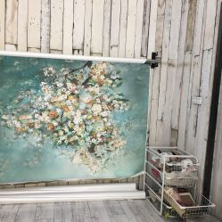 -星豆豆儿童摄影(南郊太白南路店)