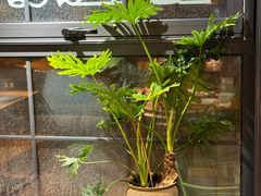 -一坐一忘云南菜(三里屯店)