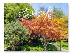 -和平公园