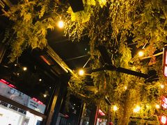 -金蜗牛