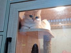 -萌小它宠物健康管理中心(怡海家园店)