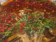 杨记招牌鱼-杨记隆府(白象街店)