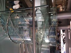 Apple Store(王府井店)-Apple零售店(王府井店)