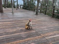 -千岛湖东南湖区