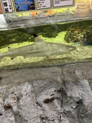 -Zoolung Zoolung动物主题公园(海信广场店)