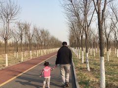 -天津东丽湖风景区