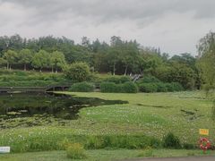 -白鹭湾湿地公园