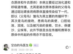 -青石桥花鸟鱼虫市场(叠翠城店)