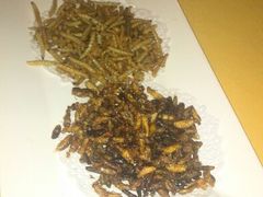 android_upload_pic-大新明仕山庄