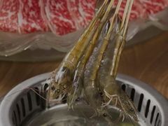 -尚海豆捞(乐虹坊店)