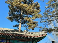 -承德避暑山庄景区