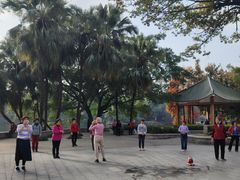 -荔湾湖公园