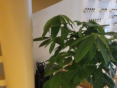 -泰合玺·精油疗愈 SPA(南京河西万达店)
