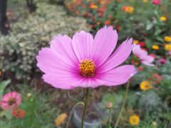 -共青国家森林公园-南大门停车场