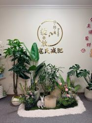 -寇氏减肥