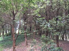 -白鹭湾湿地公园