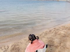 -济南国际园博园