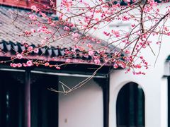-张家港凤凰山景区恬庄古街
