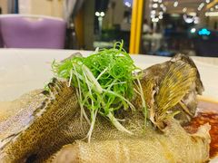 -粤珍轩.创始店.始于2001(含光门店)