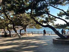 -青岛海滨风景区