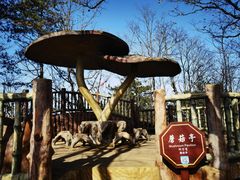 -塔云山