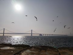 -星海广场
