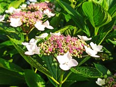 -共青国家森林公园-售票处