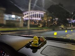 -幻彩摩天轮