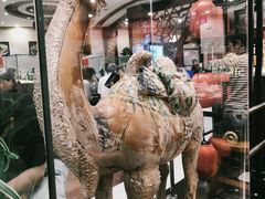 -老雒阳面馆·水席·洛阳菜(偃师店)