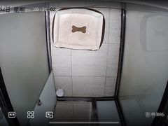-趣玩宠物乐园寄养训犬训狗游泳池