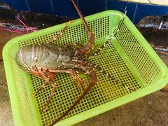 -班赞海鲜市场