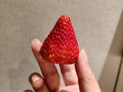 -海底捞火锅(翔龙天地广场店)