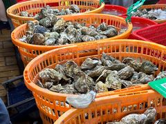 -都斛海鲜街