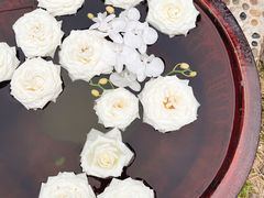 -悦哉·派对·草坪婚礼·围炉煮茶(三圣乡店)