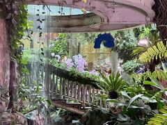 -正佳雨林生态植物园