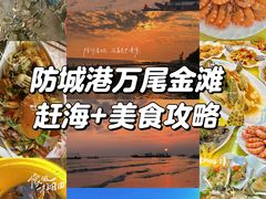 -万尾金滩