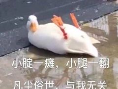-丰茂烤串(金源店)