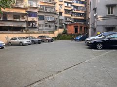 -老街无刺鲫鱼