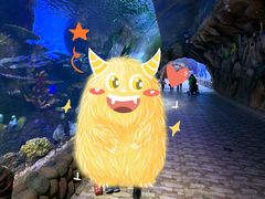 -华夏文旅海洋公园