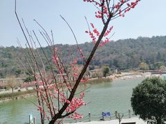 -龙寺生态园