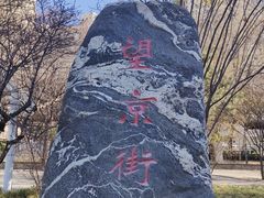 -肉串汪(望京店)