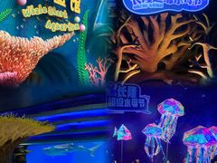 -珠海长隆海洋王国