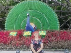 -呀路古热带植物园