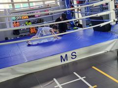 -M.S拳击泰拳馆(大学路店)
