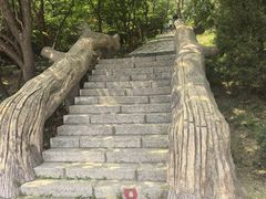 -金龙寺国家森林公园