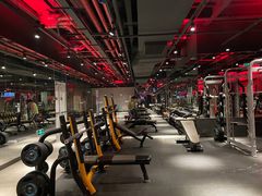 -威尔仕健身(丁香国际店)