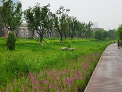 -西海子公园