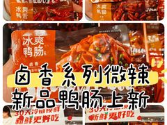 -郴州特产舜华临武鸭(郴州西站店)