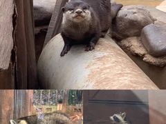 -昆明动物园