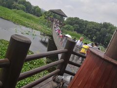 -荷塘月色湿地公园·向阳花洲